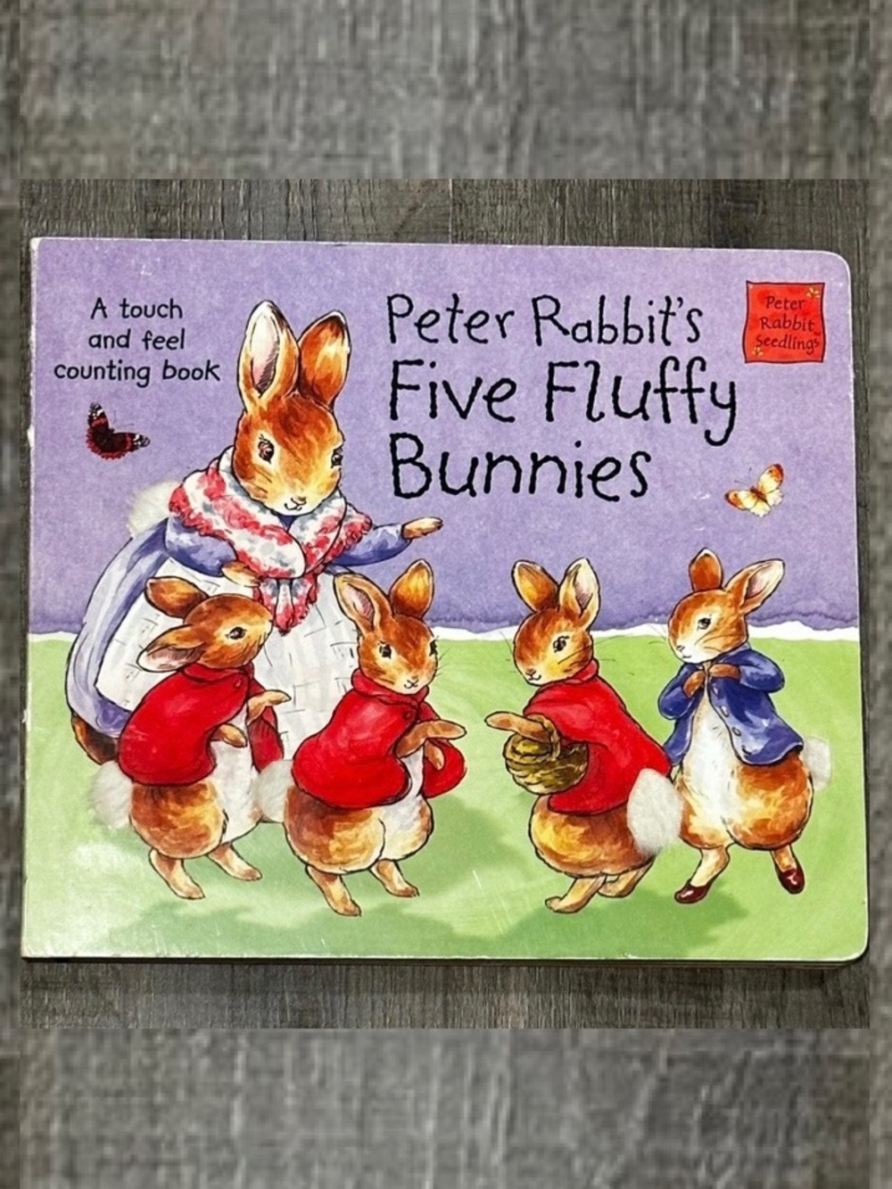 💞 Five Fluffy Bunnies Tactile Counting Board Book